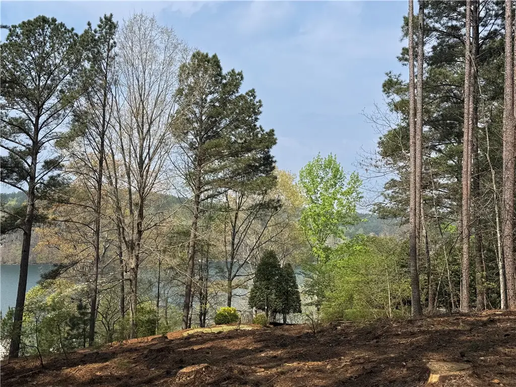 A75 Deep Cove Court, Sunset, SC 29685 - #1