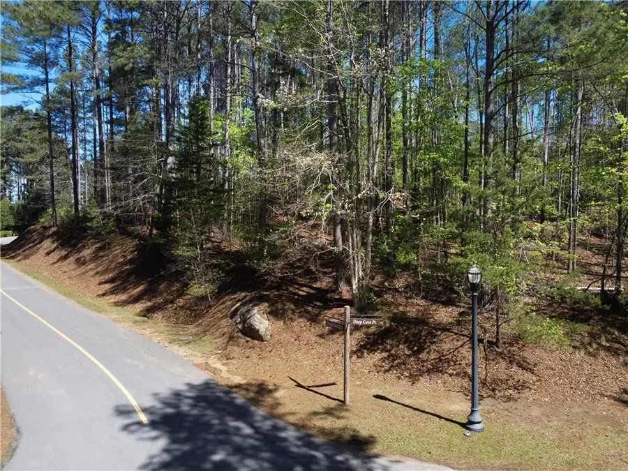 A75 Deep Cove Court, Sunset, SC 29685 - #3