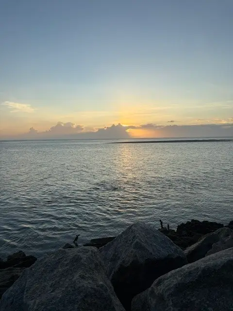 Lot 7 Porpoise Drive, Fripp Island, SC 29920 - #2