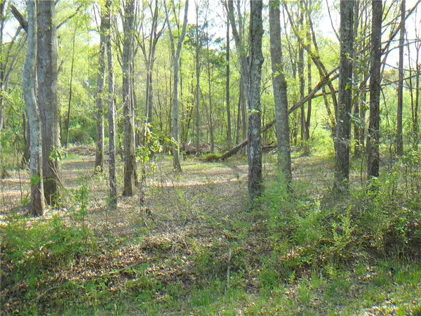 1019 Jones Drive, Anderson, SC 29626