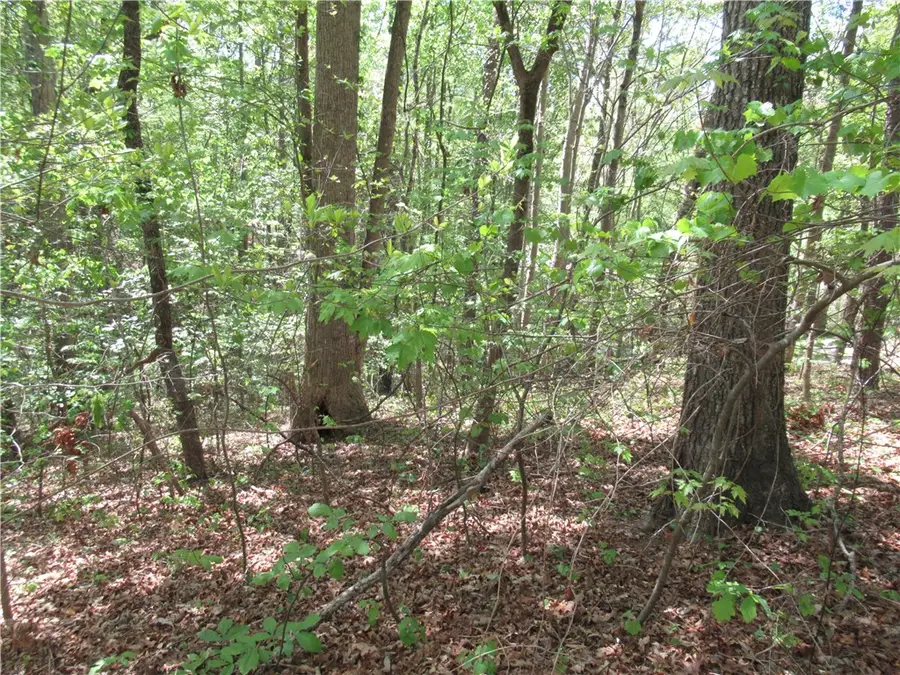 00 Bay Drive, Fair Play, SC 29643 - #3