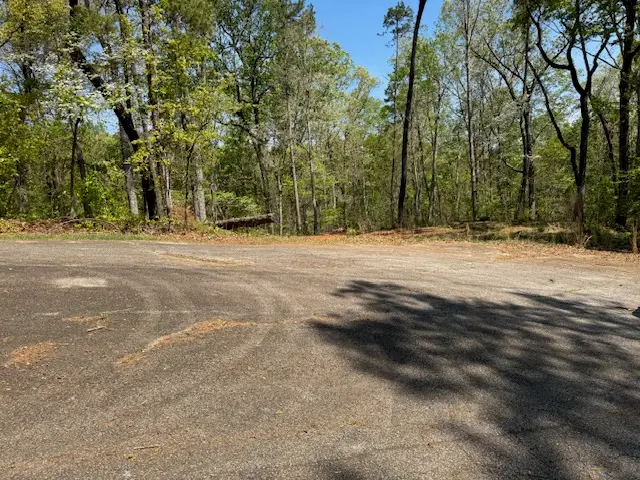 56 Cottonwood Court, Toccoa, GA 30577 - #3