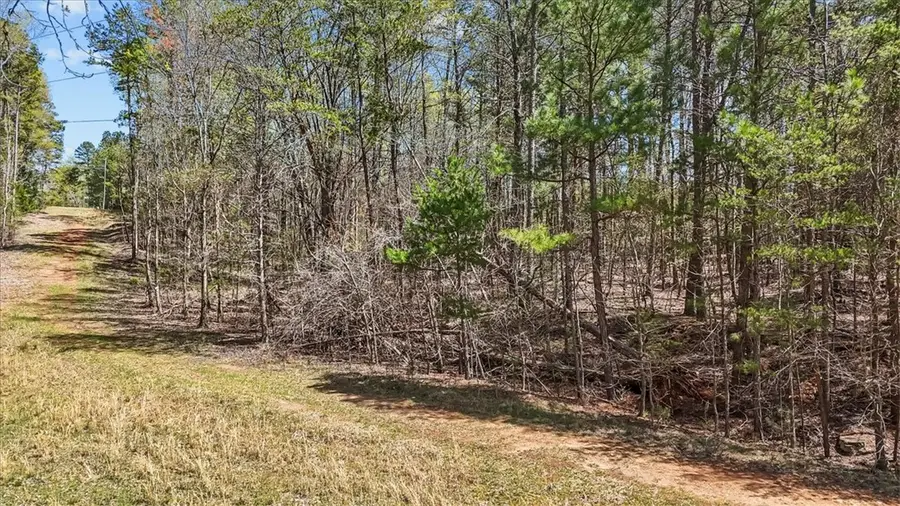 250 Meldau Road, Seneca, SC 29678 - #2