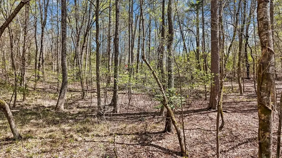 250 Meldau Road, Seneca, SC 29678 - #3