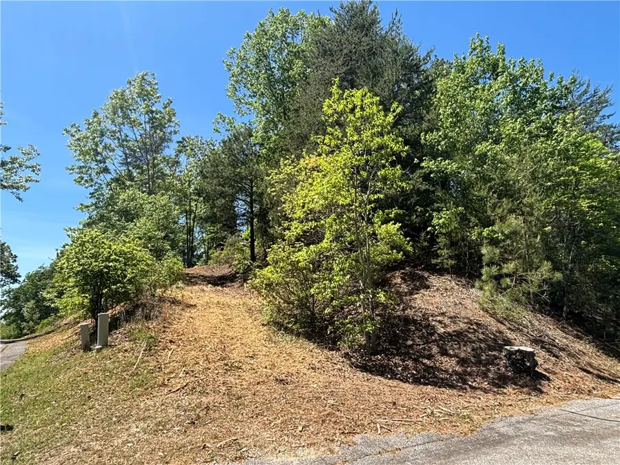 202 Buttercup Way, Sunset, SC 29685 - #2