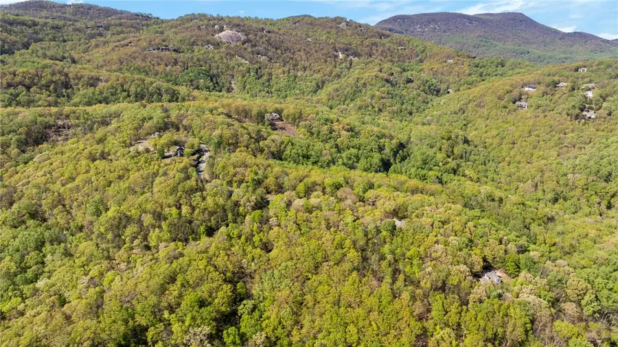 2 Little Boulder Drive, Landrum, SC 29356 - #2