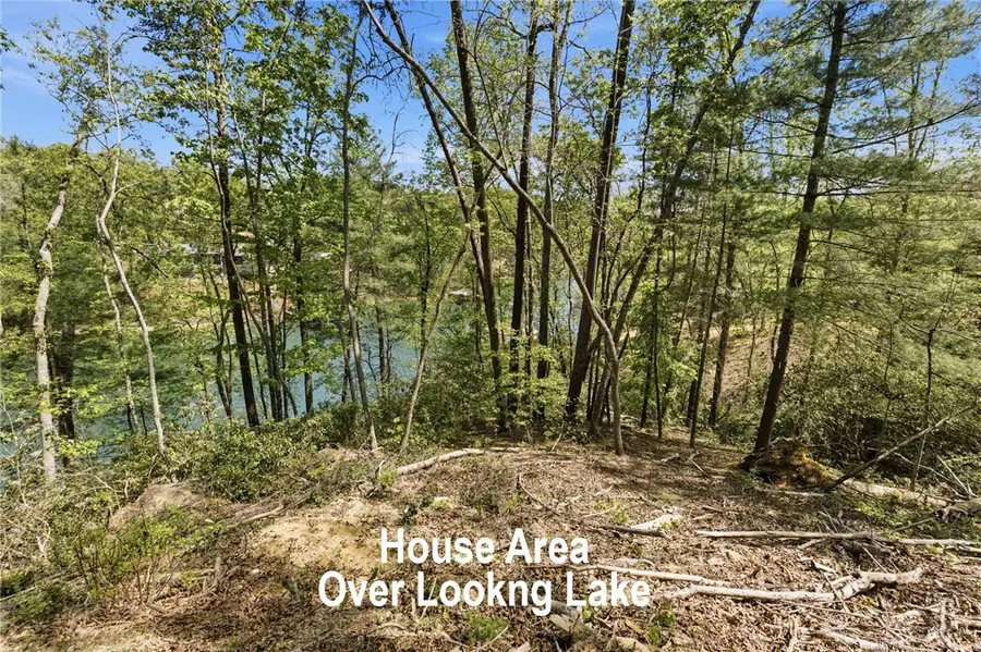 120 Stillwater Court, Sunset, SC 29685 - #2