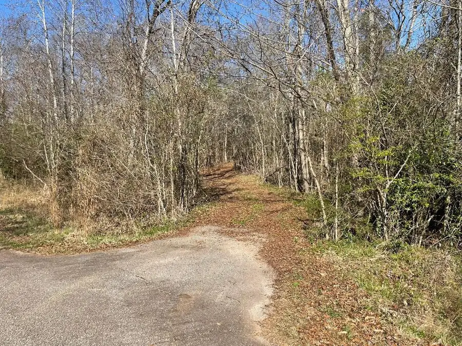 1978 Old Douglas Mill Road, Abbeville, SC 29620 - #2