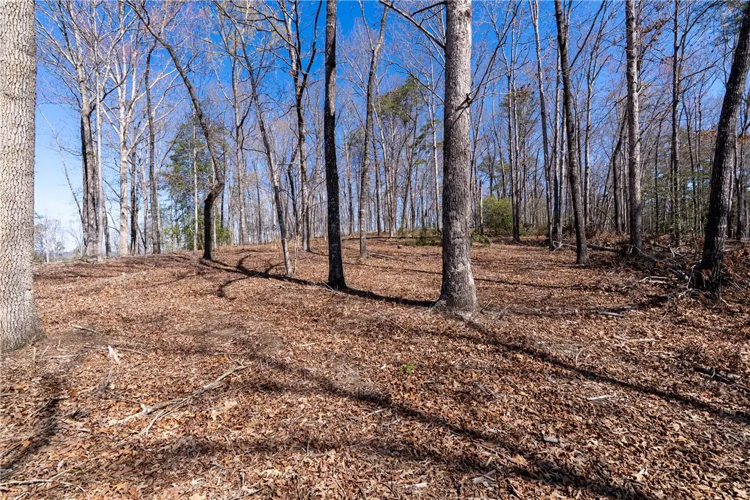 Lot 11 Fairway's Edge Drive, Salem, SC 29676 - #1