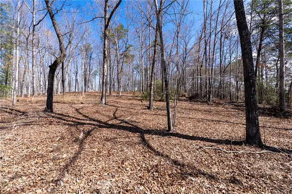 Lot 12 Fairway's Edge Drive, Salem, SC 29676
