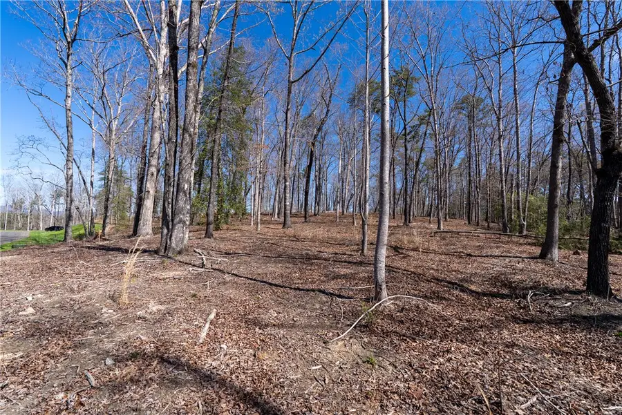 Lot 12 Fairway's Edge Drive, Salem, SC 29676 - #3