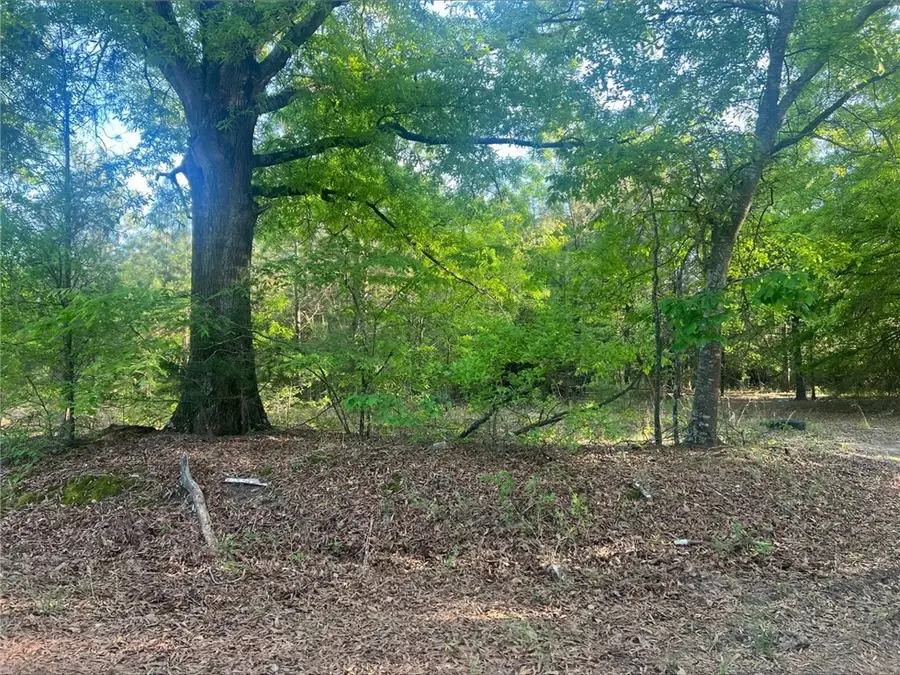 lot 15 Old Abbeville Highway, Anderson, SC 29624 - #2