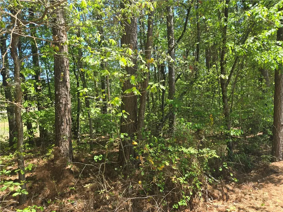 1 Lanyard Circle #35, Salem, SC 29676 - #3