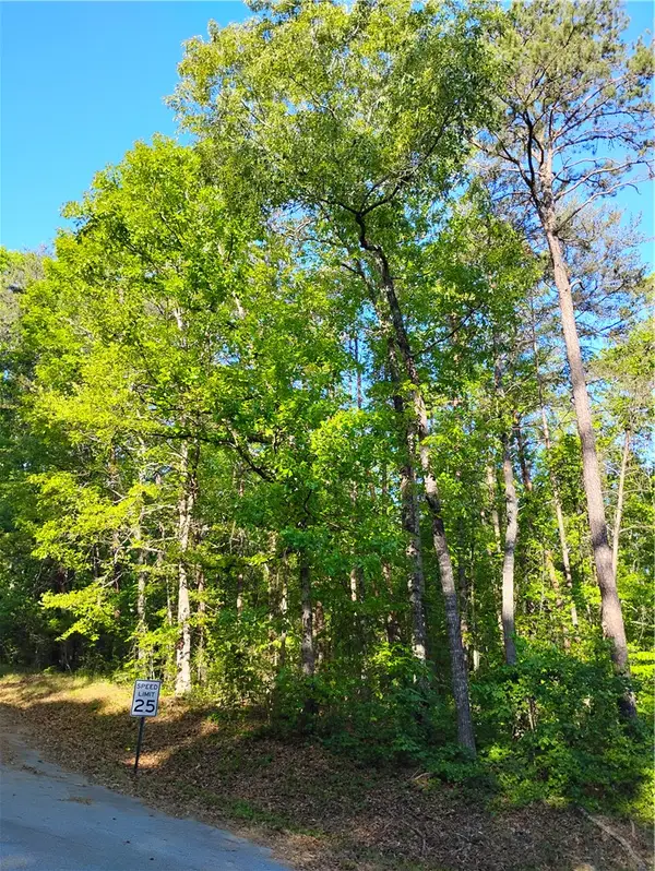 0 Rocky Falls Drive, Westminster, SC 29693