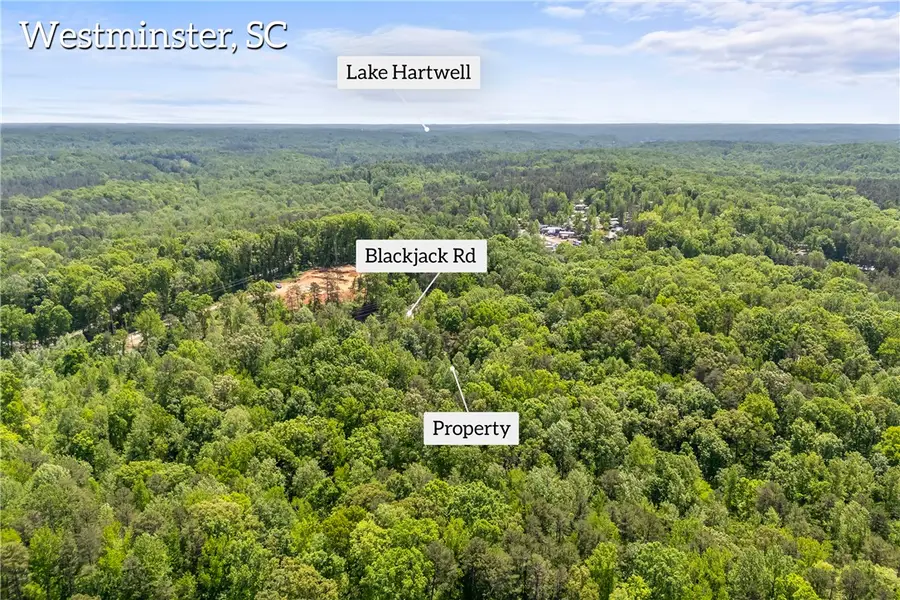 000 Pine Gap Cove, Westminster, SC 29693 - #2