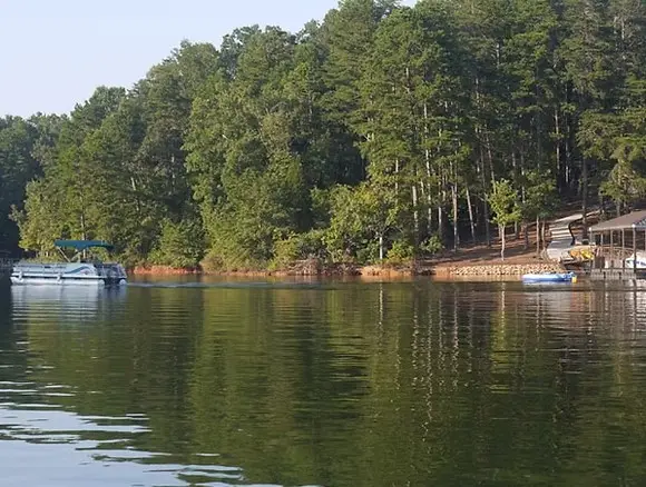 0 Palmer Lane, Westminster, SC 29693 - #3