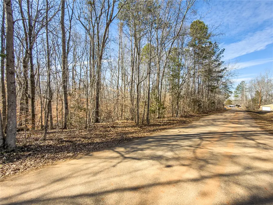 247 Stallion Drive, Honea Path, SC 29654 - #3