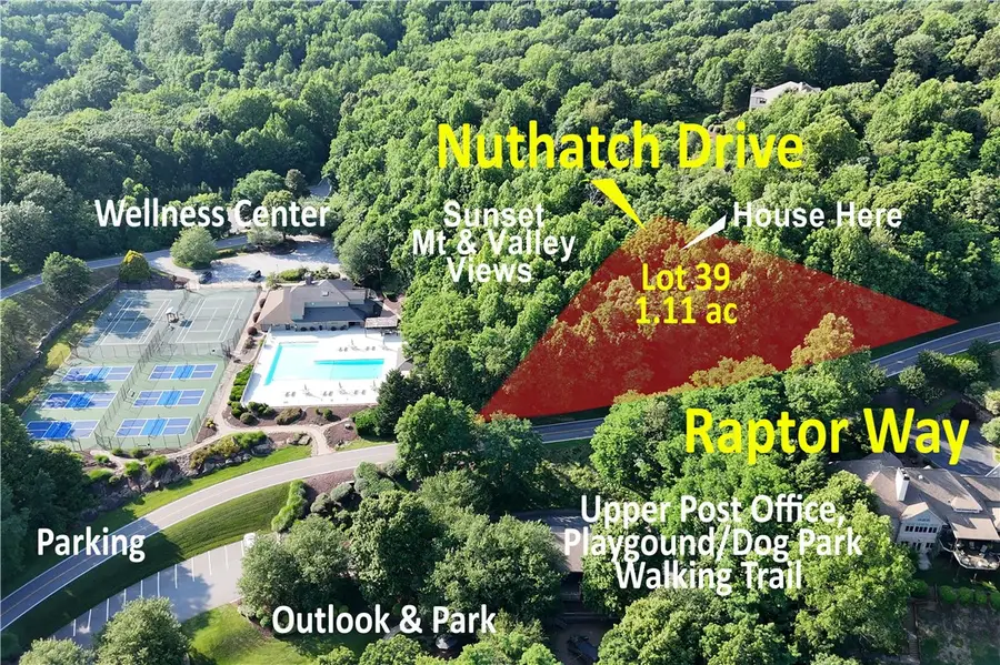 39 Raptor Way Way, Landrum, SC 29356 - #2