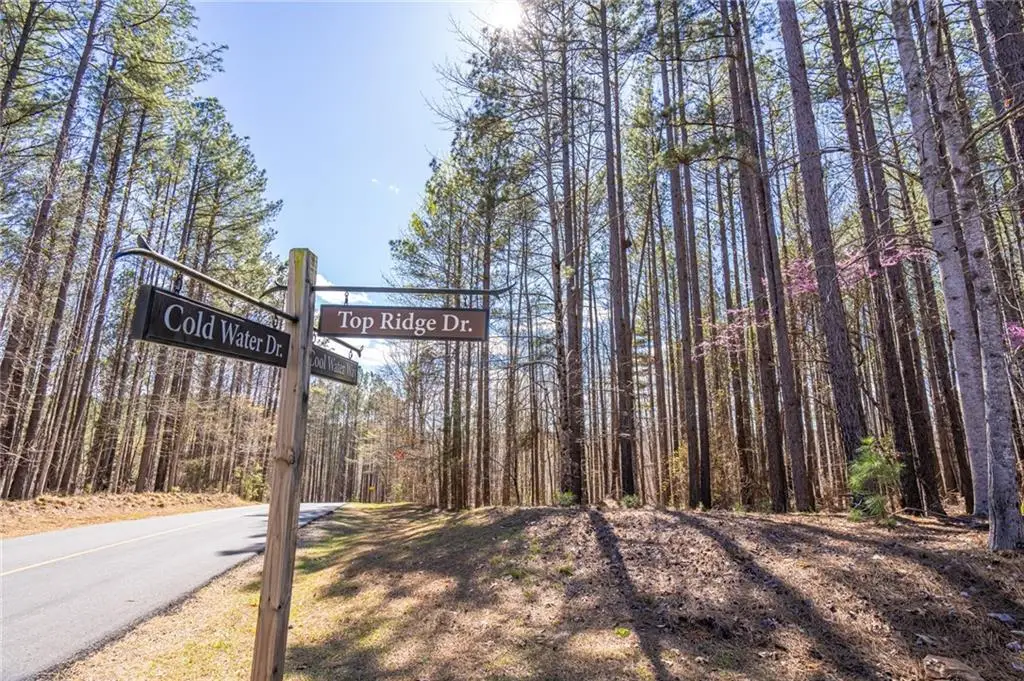 703 Top Ridge Drive, Sunset, SC 29685 - #1