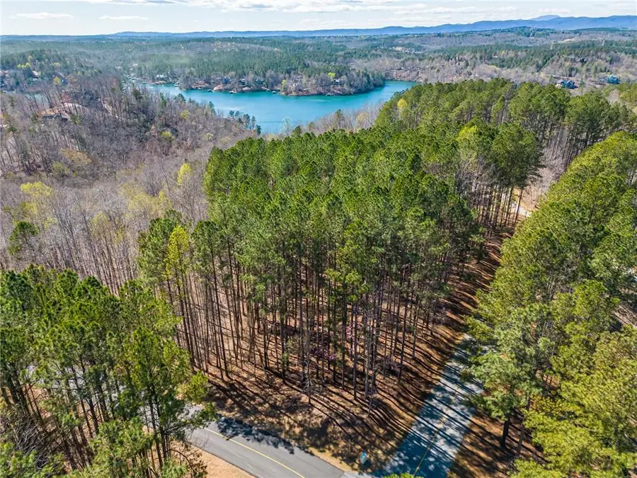 703 Top Ridge Drive, Sunset, SC 29685 - #3