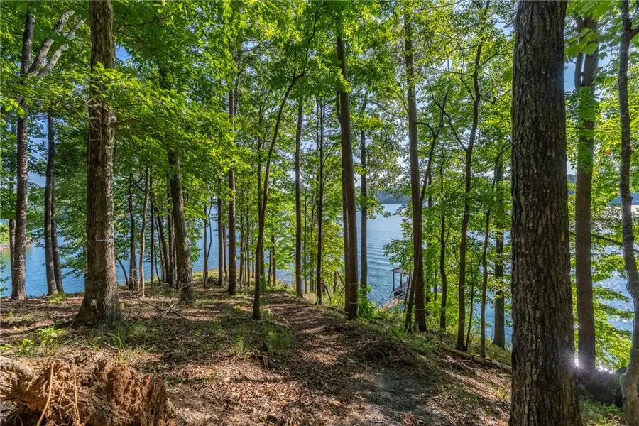 107 S Turtle Rock Road, Sunset, SC 29685 - #3