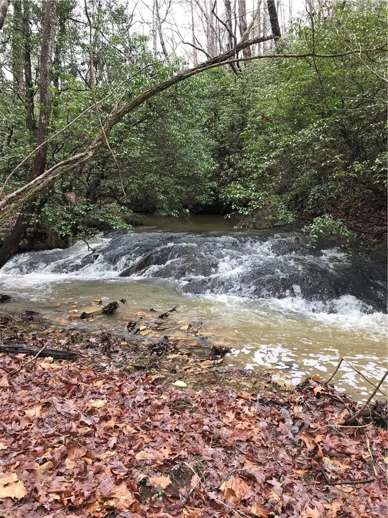 00 Marble Branch Trail, Walhalla, SC 29691 - #1
