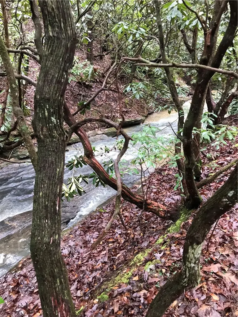 00 Marble Branch Trail, Walhalla, SC 29691 - #3