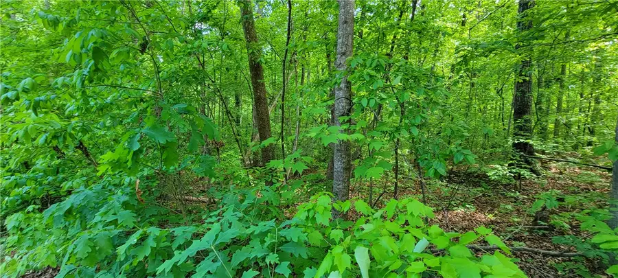 00 Lynden Loop #26, Westminster, SC 29693 - #3