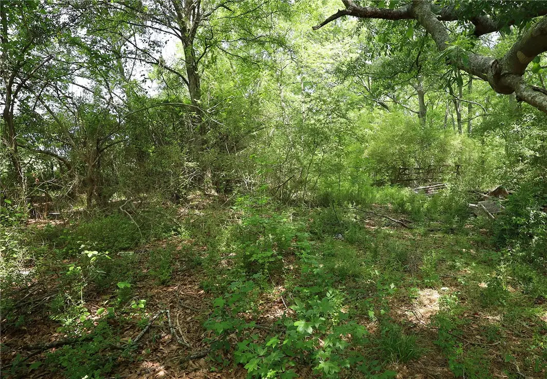 3916 Highway 24, Anderson, SC 29626 - #1