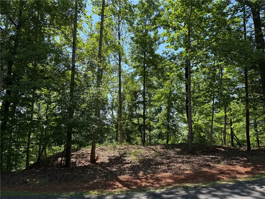 126 Summit Pine, Sunset, SC 29685 - #2