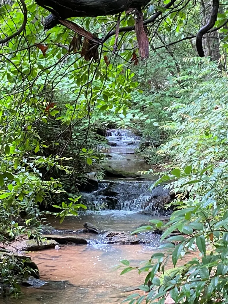 0 Saluda Lake Road, Greenville, SC 29611 - #2