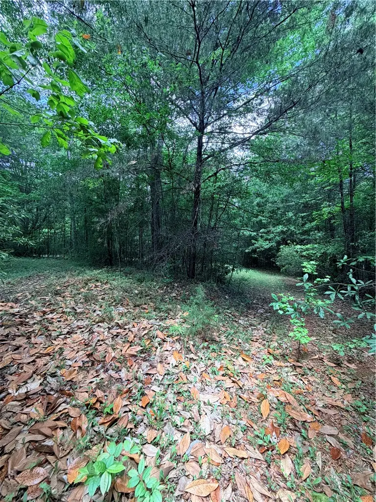 208 Sparks Lane, Pickens, SC 29671 - #3