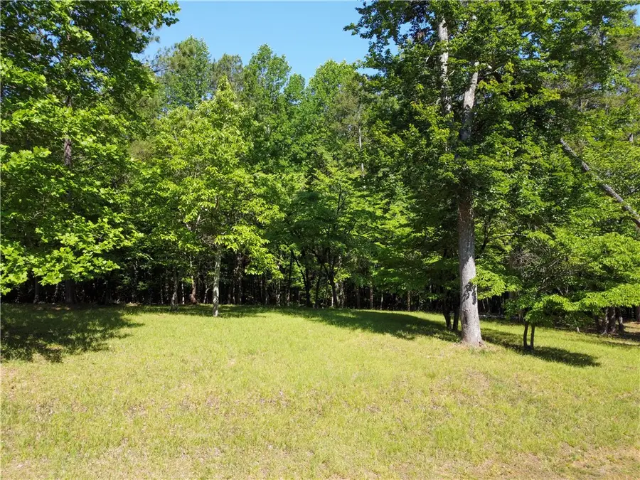 109 Belle Oaks Court, Six Mile, SC 29682 - #2
