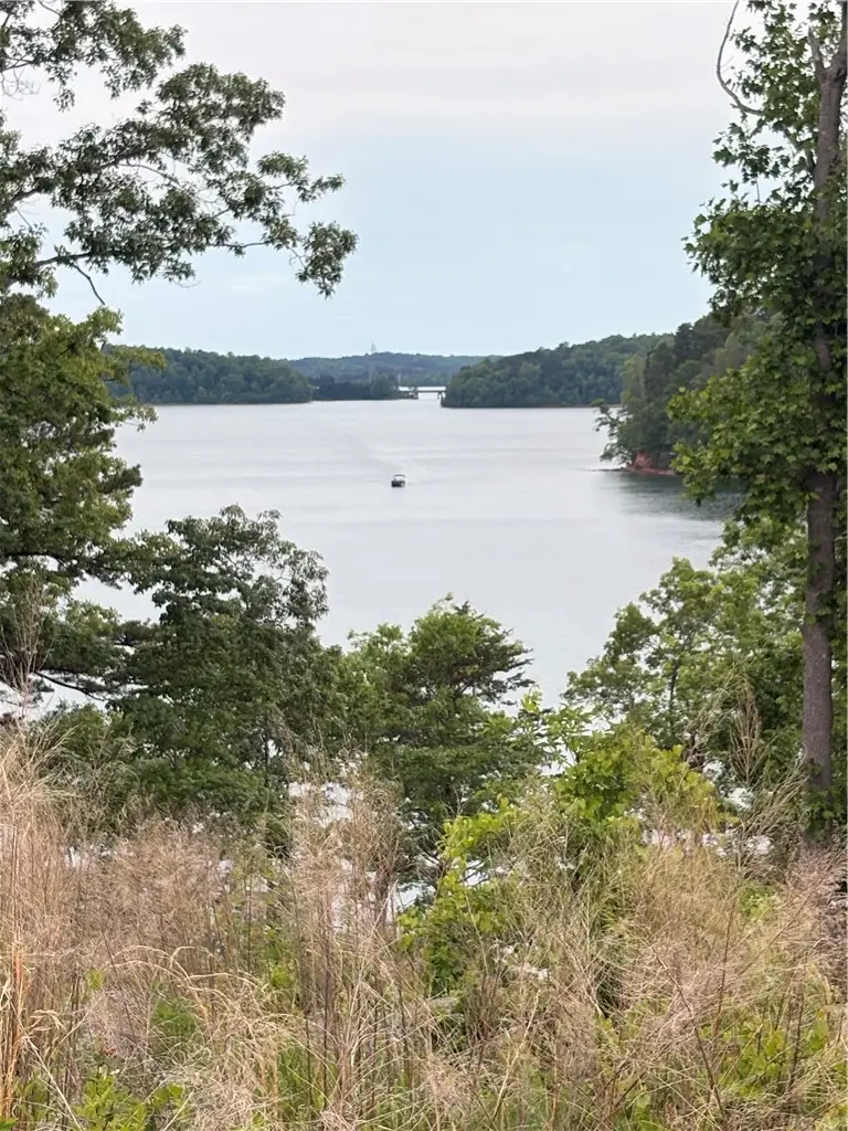 #2 Warpath Ridge Trail, Six Mile, SC 29630 - #1
