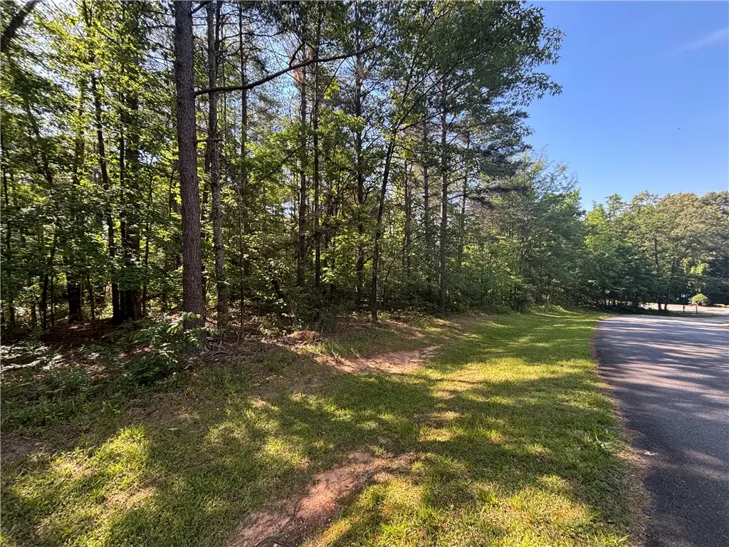 Lot 46 Princess Tree Way, Sunset, SC 29685 - #1