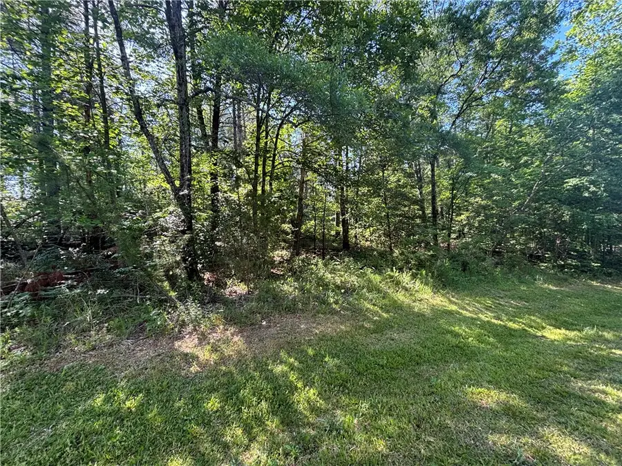 Lot 46 Princess Tree Way, Sunset, SC 29685 - #2