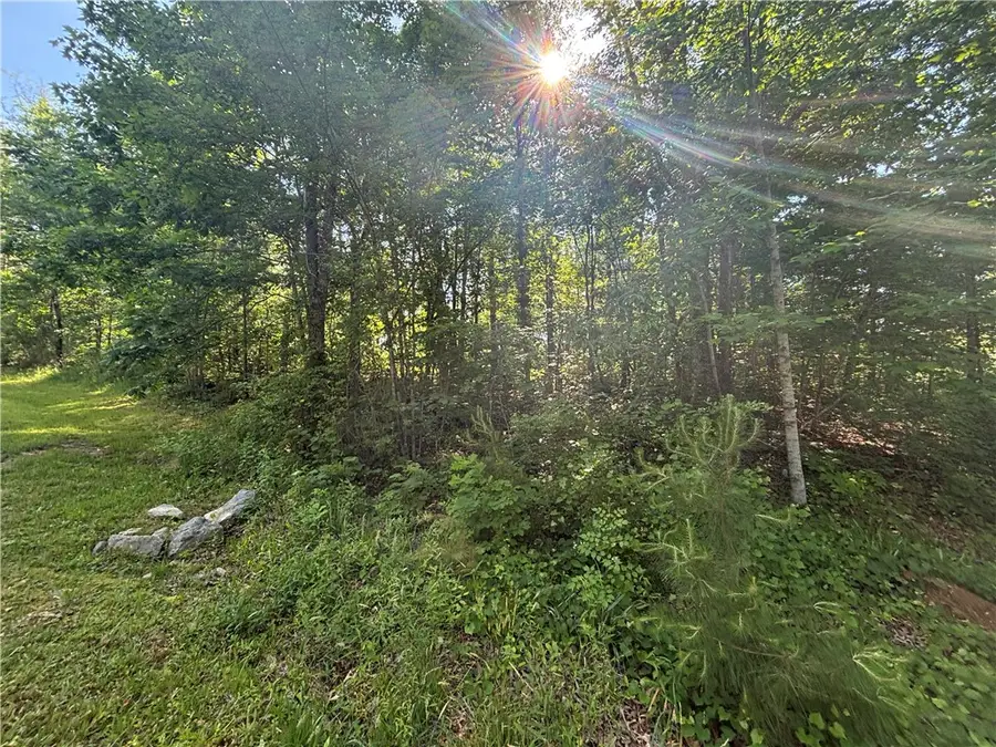 Lot 46 Princess Tree Way, Sunset, SC 29685 - #3