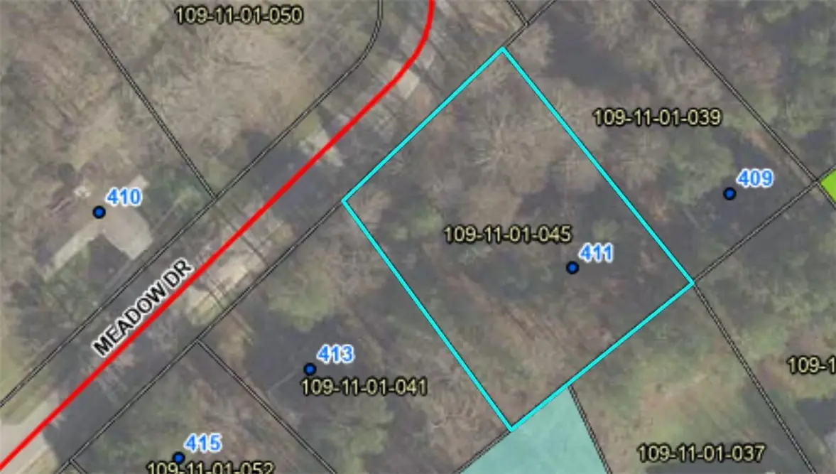 411 Meadow Drive, Abbeville, SC 29620 - #1