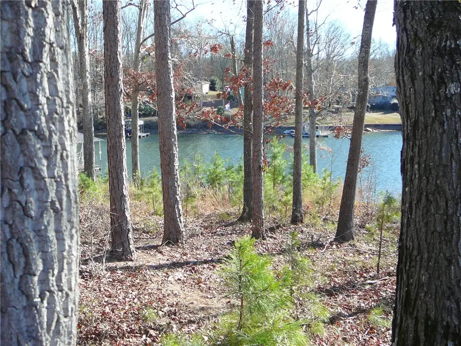 Lt 4 Landings Run, Abbeville, SC 29620 - #2