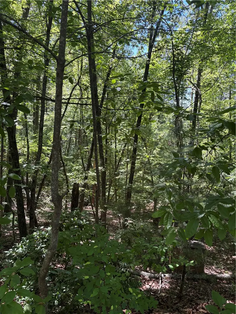 225 Bay View Drive, Salem, SC 29676 - #2