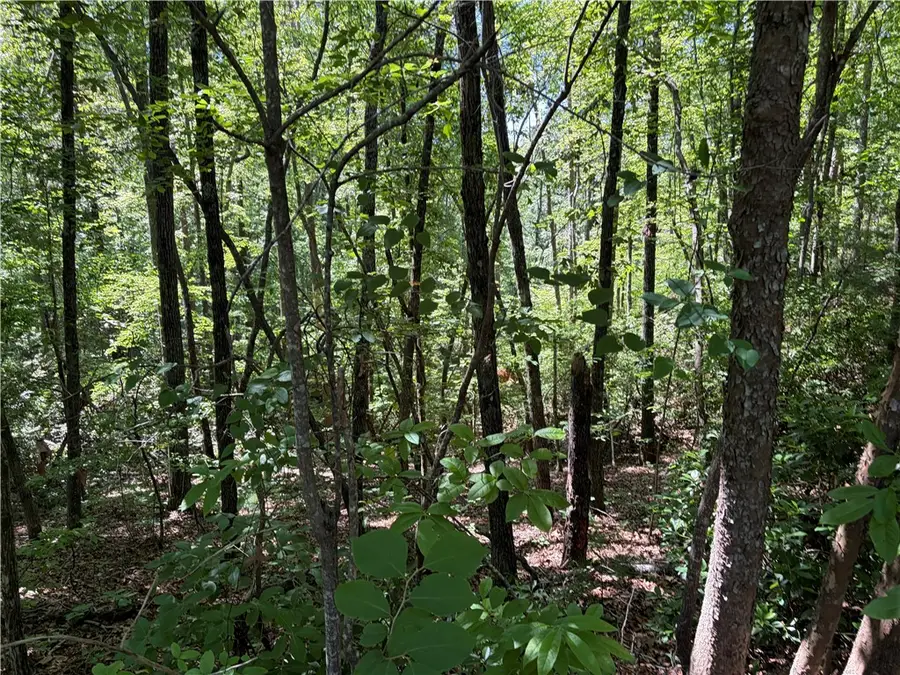 221 Bay View Drive, Salem, SC 29676 - #2