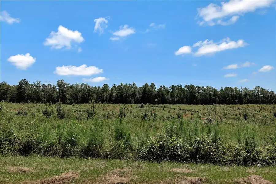 00 Brown Road, Iva, SC 29655 - #2