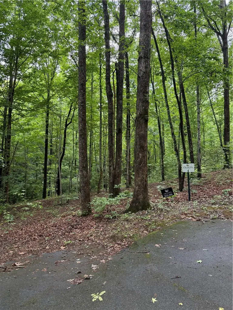 125 Cottage Side Trail, Travelers Rest, SC 29690 - #1