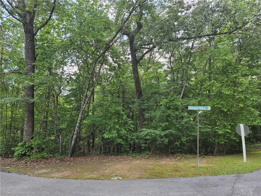 31 Turtlehead Drive, Salem, SC 29676 - #1
