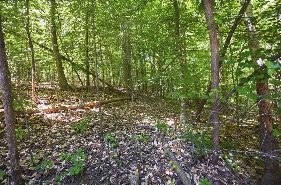 Lot 1013 S Hogan Drive, Westminster, SC 29693 - #3