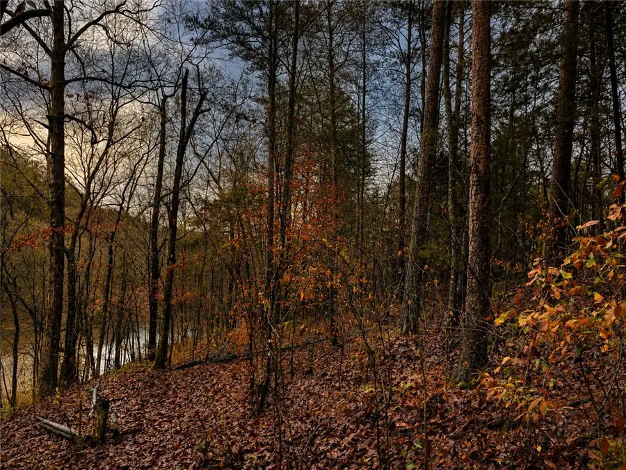 Lot 7A Hunters Run Annex, Walhalla, SC 29691 - #3