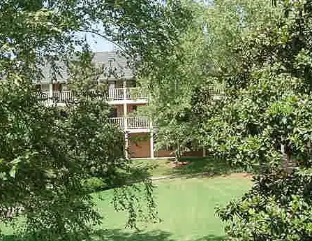 250 Elm Elm Street, Clemson, SC 29631 - #2