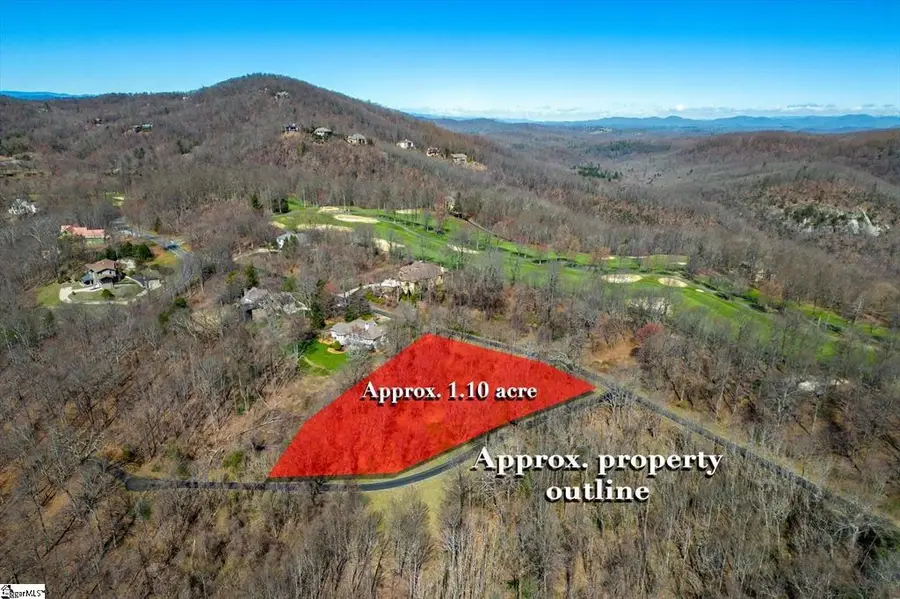 68 May Apple Way, Landrum, SC 29356 - #3