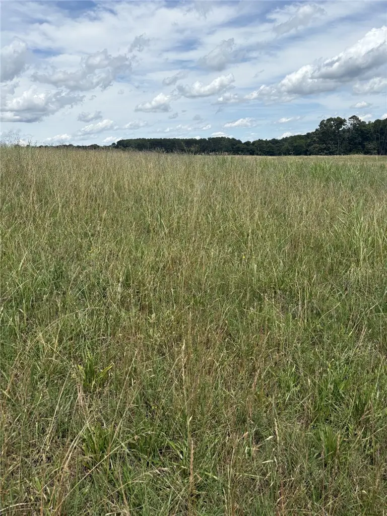 LOT 2 Joyo Road, Iva, SC 29655 - #3