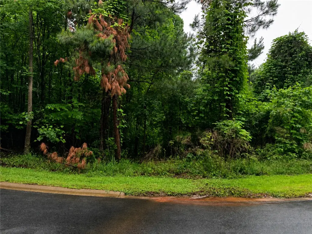 323 Ridgeside Court, West Union, SC 29696 - #1
